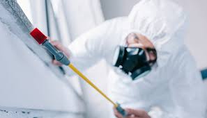 Best Pest Exclusion Services  in Rogersville, AL